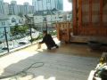 madu hanok 11.jpg